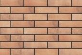  Фасадные термопанели Cerrad Loft Brick Curry ППС PLITKER описание