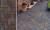 Тротуарная клинкерная брусчатка ABC Mitternachtblau фото