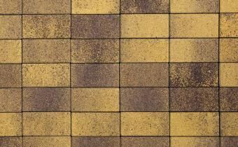 Плитка тротуарная ВЫБОР ЛА-Линия 2П.4, Листопад Янтарь коричнево-желтый гранит, 200*100*40 мм